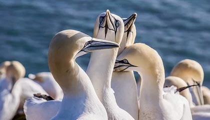 北京最新公积金卡提取现金操作及规定方法分析(最方便真实的北京公积金卡提取现金操作及规定是什么方法)