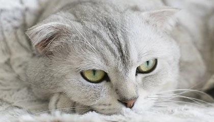 北京最新公积金卡提取方法分析(最方便真实的北京公积金卡提取后还可以继续使用吗方法)